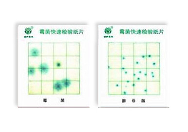 霉菌、酵母菌測(cè)試片